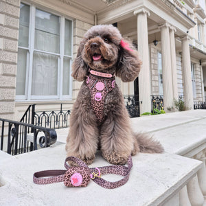 Poo Bag Holder - Leopard Print