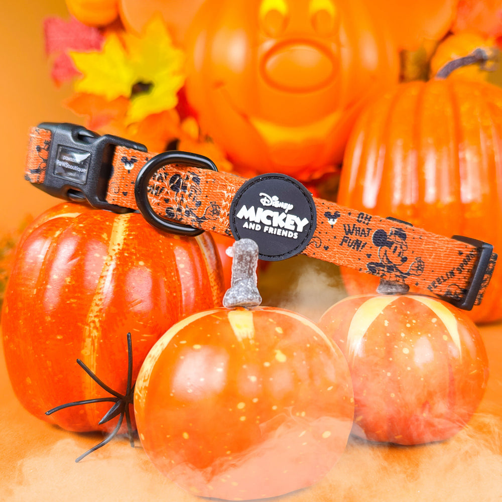 Disney© Collar - Halloween