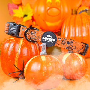 Disney© Collar - Halloween