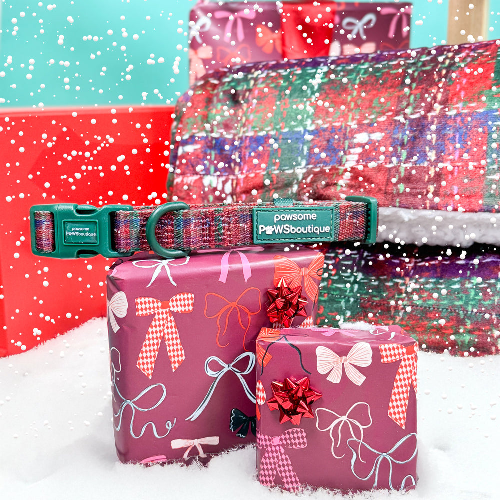 Collar - Yuletide Plaid