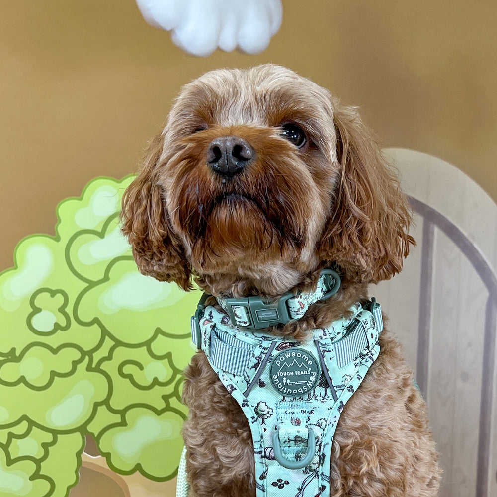 Disney© Collar - 100 Aker Wood