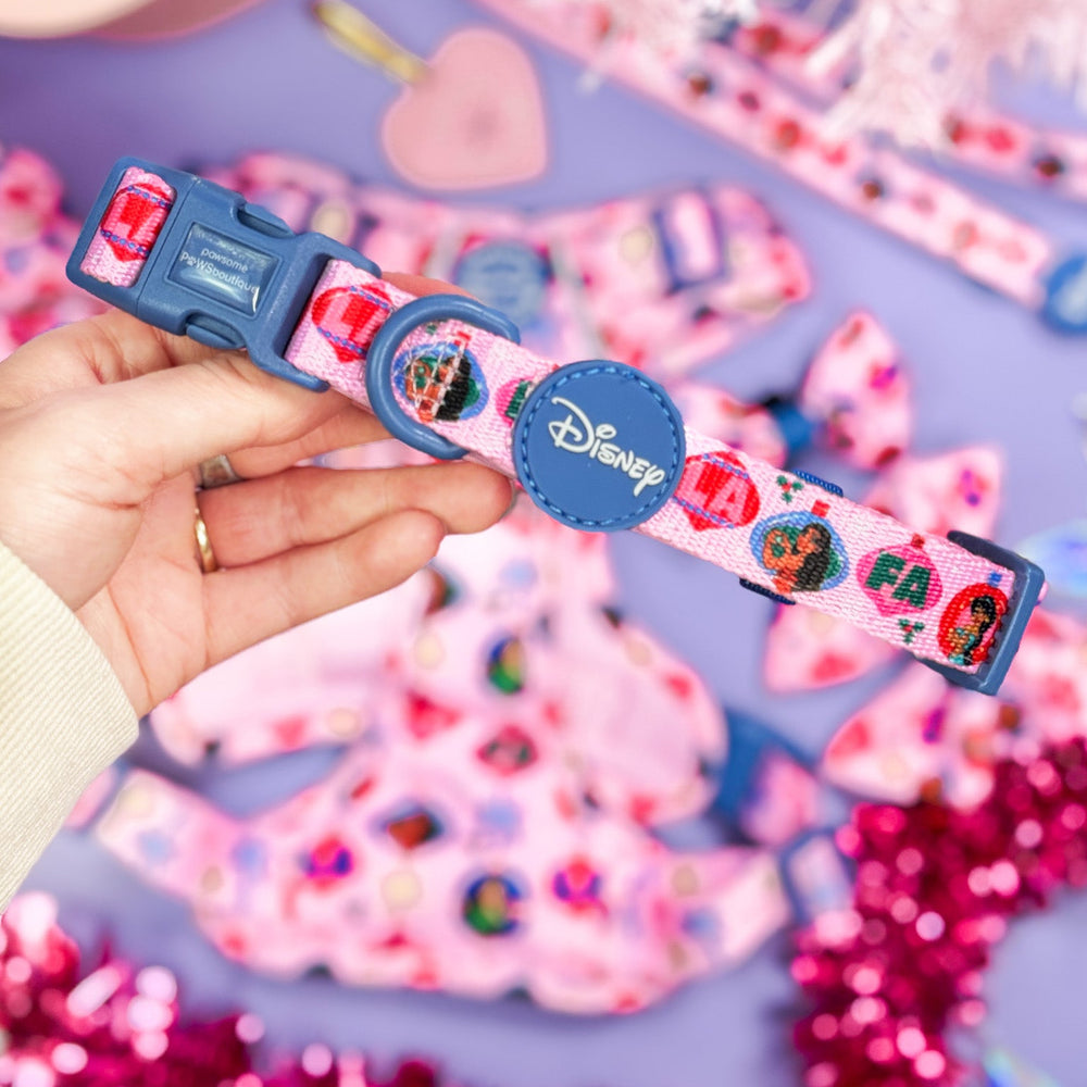 Disney© Collar - Princess