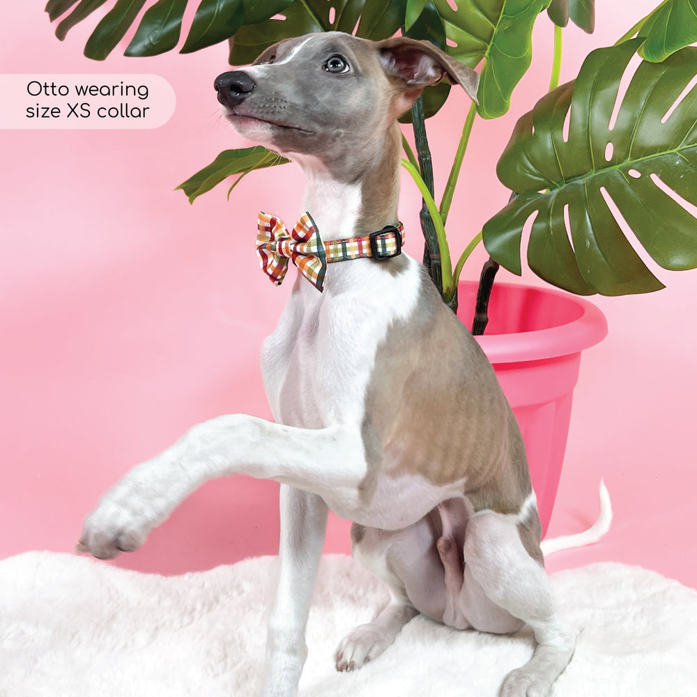 Bow Tie - Plaid Pup