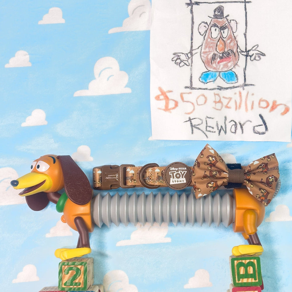 Disney© Collar - Slinky