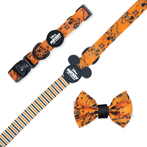 Halloween Accessories Bundle