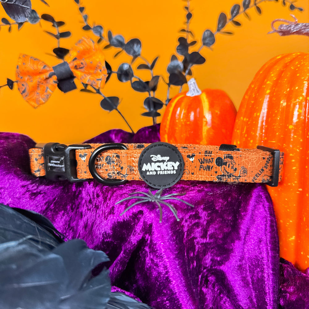 Disney© Collar - Halloween