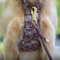 4ft Rope Lead - Brown