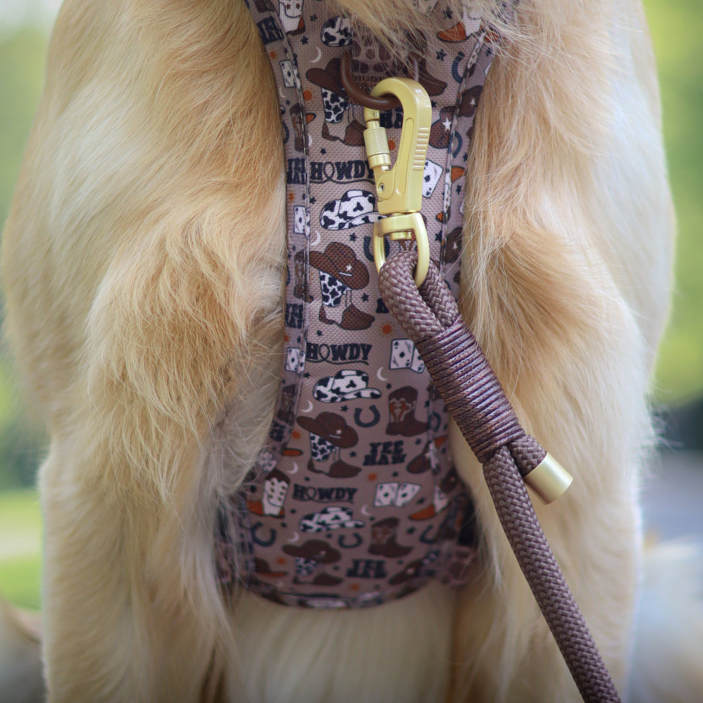 4ft Rope Lead - Brown