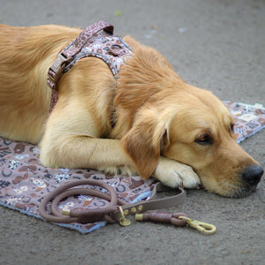 4ft Rope Lead - Brown