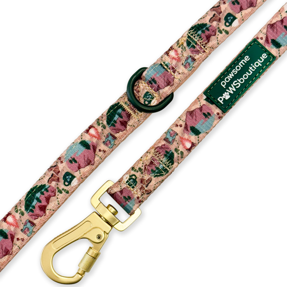 Lead - Adventure Awaits