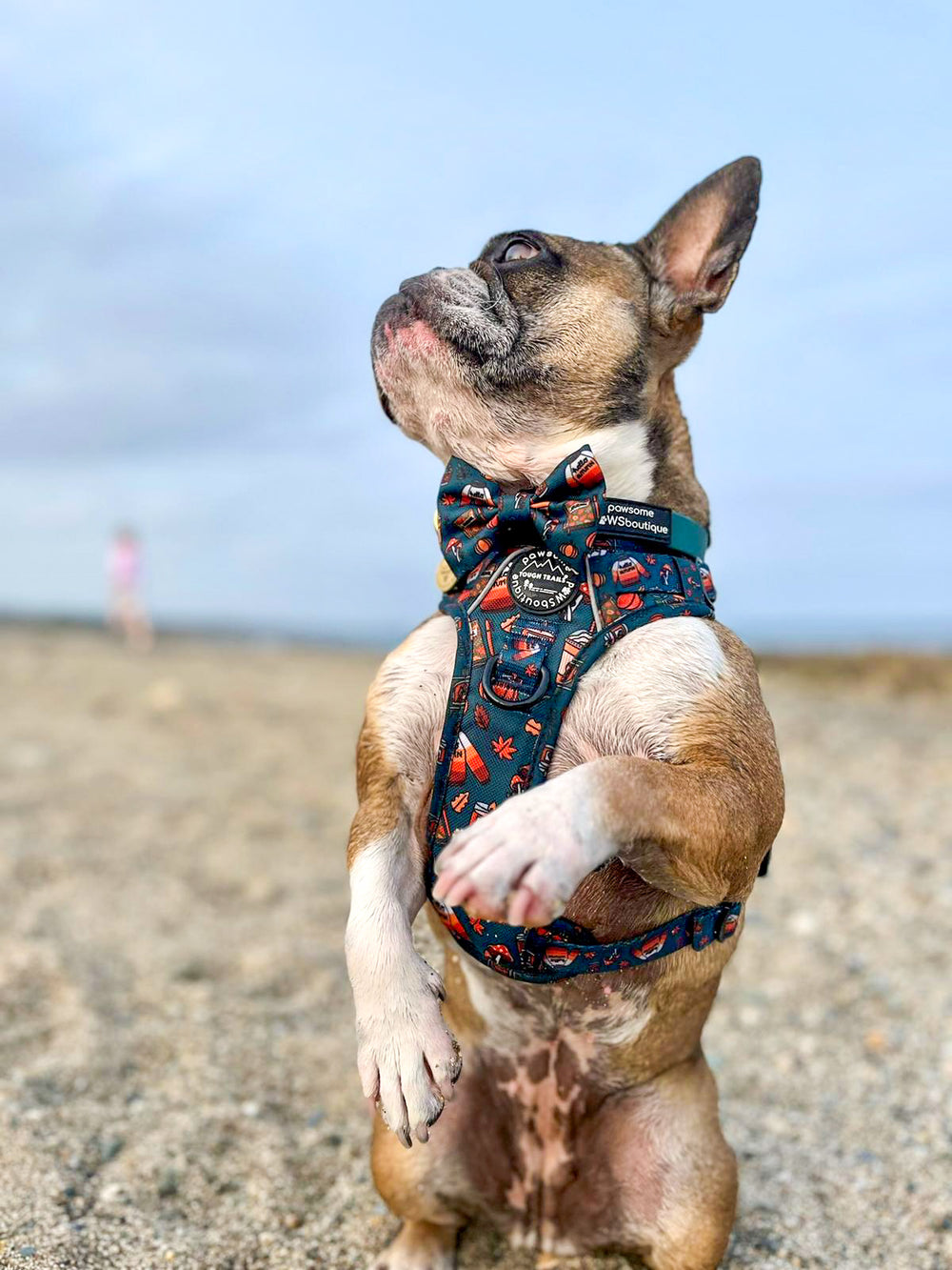 Waterproof Collar -  Jade (Gold Hardware)