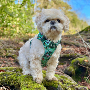 Disney© Bow Tie - Jungle Book