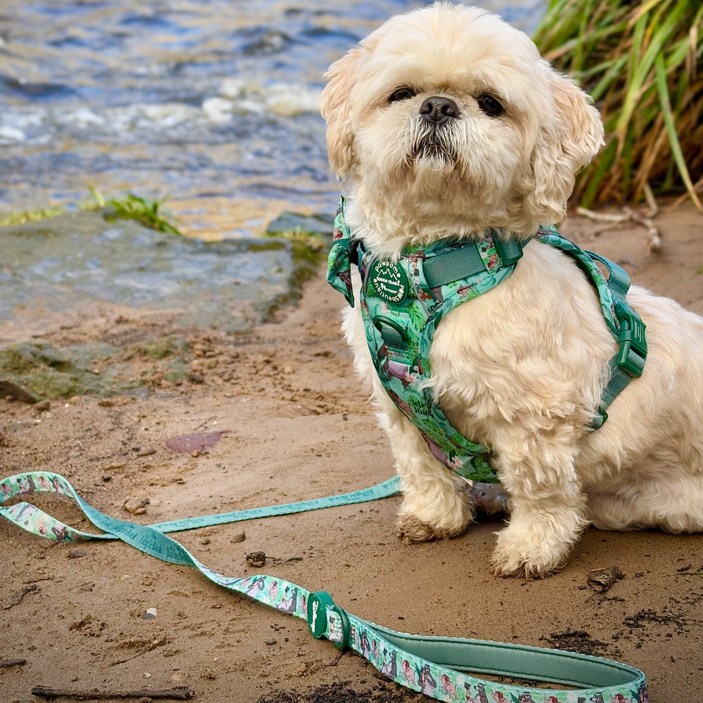 Disney© Disney©Lead - Jungle Book