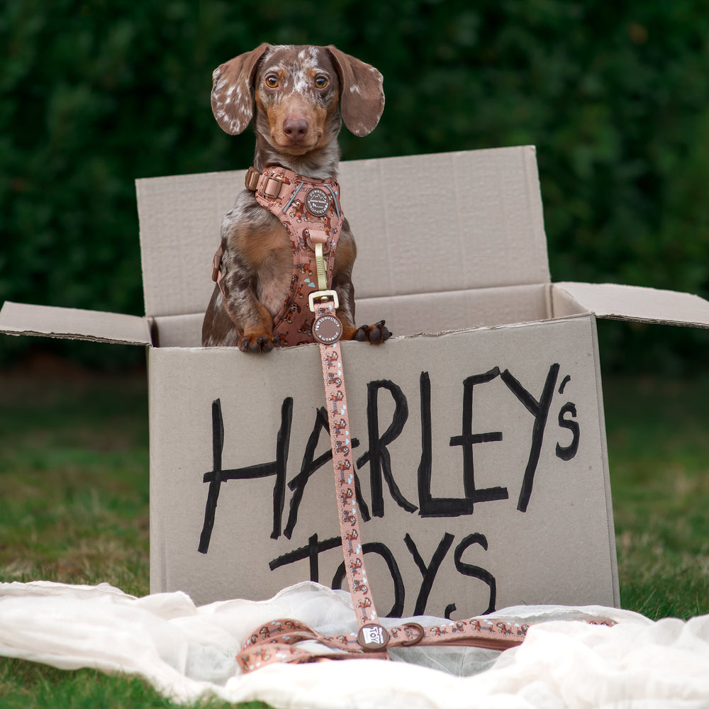 Disney© Lead - Slinky