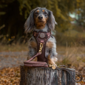 4ft Rope Lead - Brown