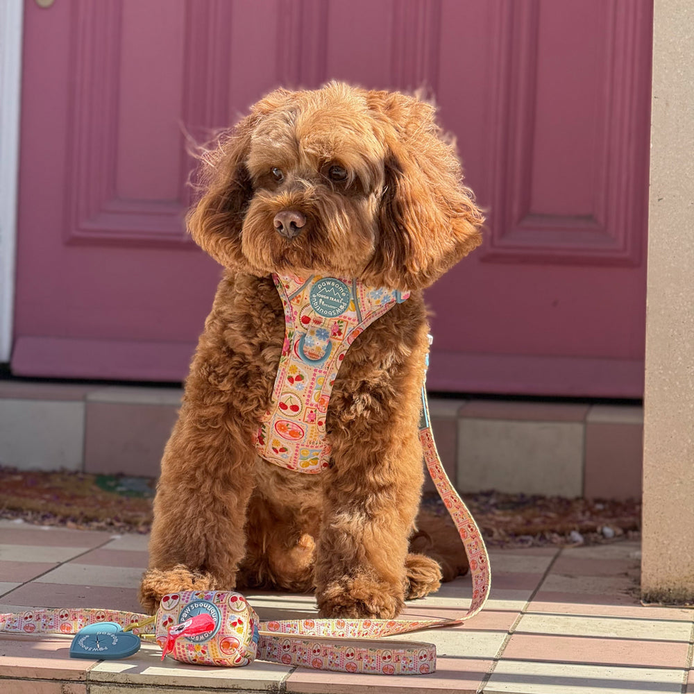 Poo Bag Holder - Summer Vacay