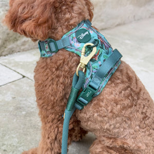 Disney© 4ft Rope Lead - Jungle Book