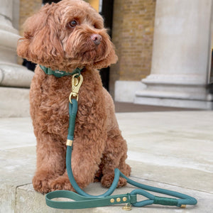 Disney© 4ft Rope Lead - Jungle Book