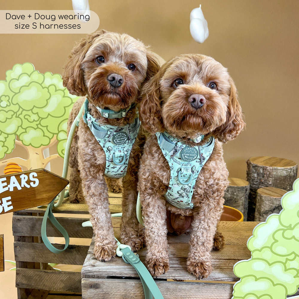 Disney© Tough Trails™ Harness - 100 Aker Wood