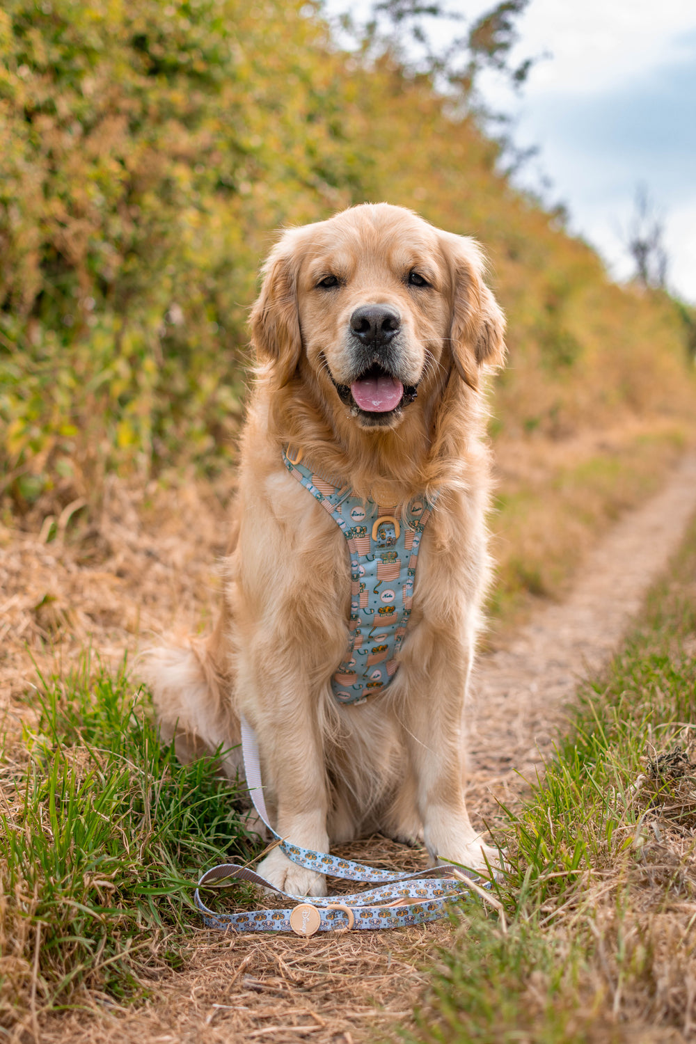 Disney© Lead - Lion Friends