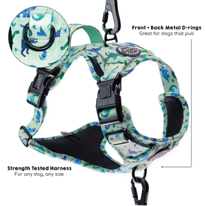 Tough Trails™ Harness - Dinky Dino