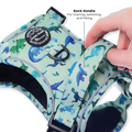 Tough Trails™ Harness - Dinky Dino