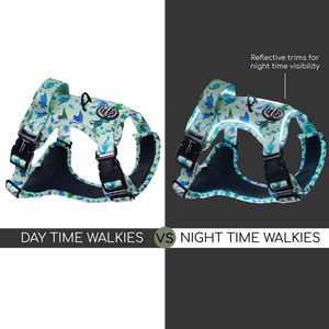 Tough Trails™ Harness - Dinky Dino