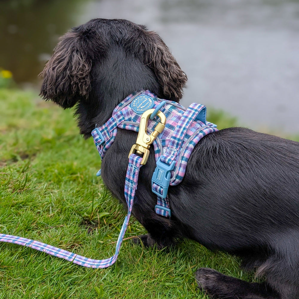 Lead - Tweed Twilight