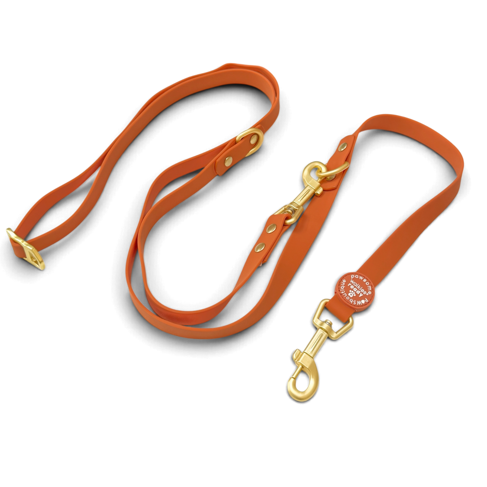 Double Ended Lead - Walkies Ready® Rust (New Clip)