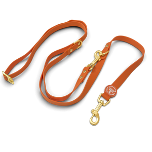 Double Ended Lead - Walkies Ready® Rust (New Clip)
