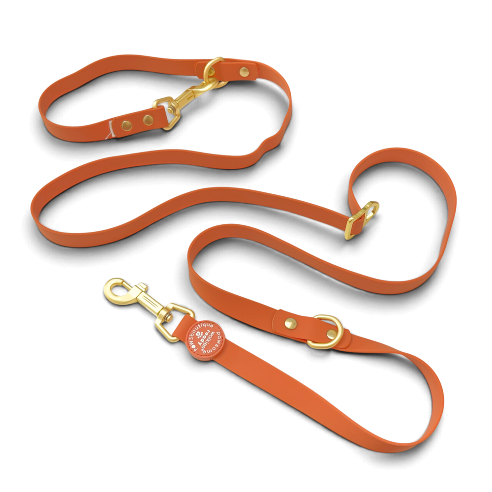 Double Ended Lead - Walkies Ready® Rust (New Clip)