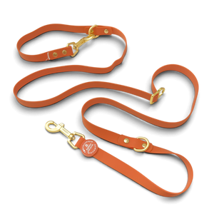 Double Ended Lead - Walkies Ready® Rust (New Clip)