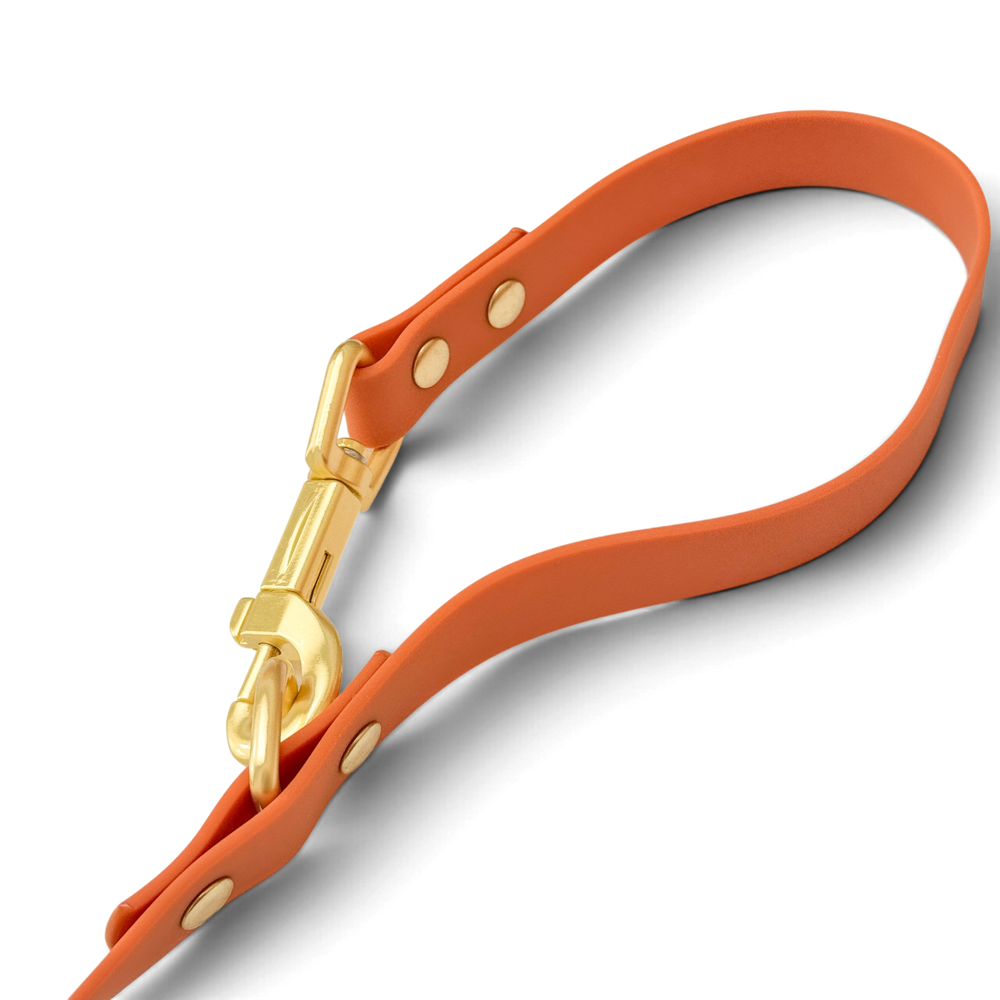 Double Ended Lead - Walkies Ready® Rust (New Clip)