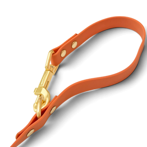 Double Ended Lead - Walkies Ready® Rust (New Clip)