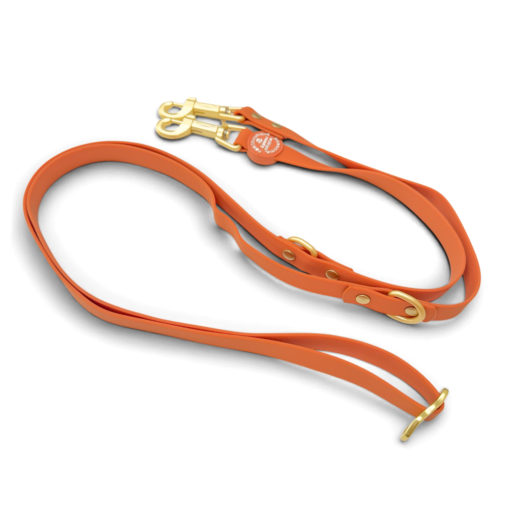 Double Ended Lead - Walkies Ready® Rust (New Clip)