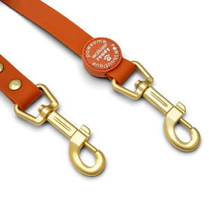 Double Ended Lead - Walkies Ready® Rust (New Clip)