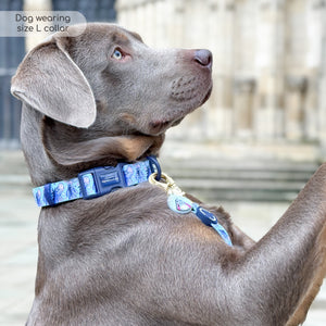 Disney© Collar - Eeyore