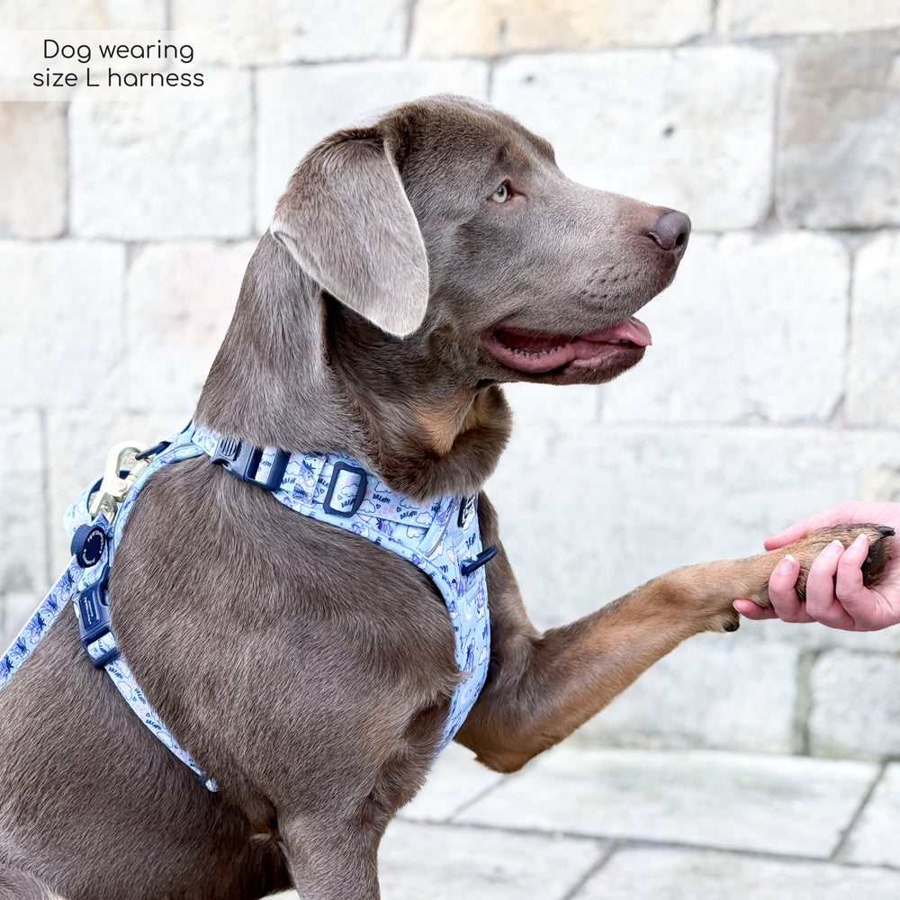 Disney© Tough Trails™ Harness - Eeyore