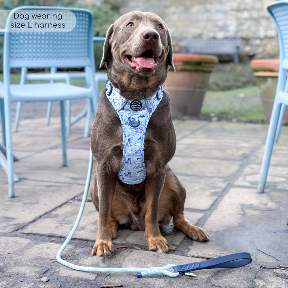 Disney© Tough Trails™ Harness - Eeyore