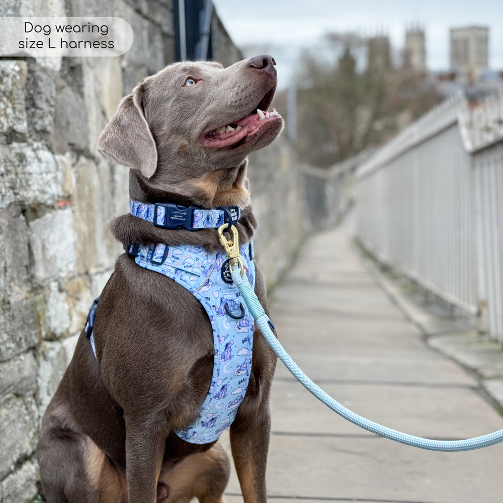 Disney© Tough Trails™ Harness - Eeyore