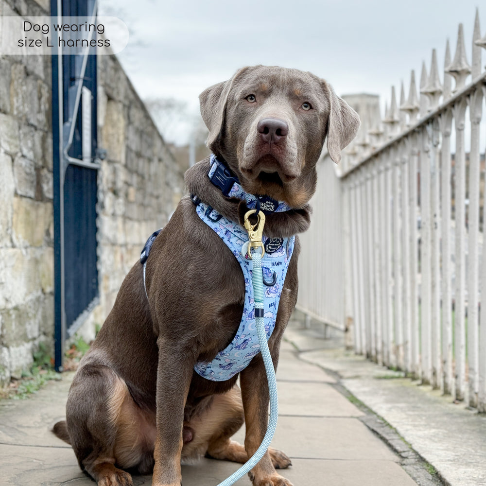Disney© Tough Trails™ Harness - Eeyore