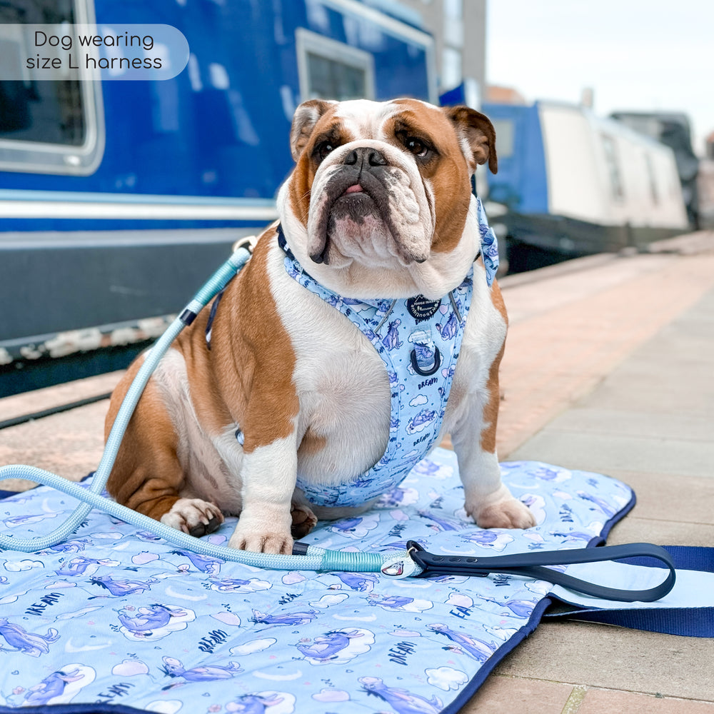 Disney© Tough Trails™ Harness - Eeyore