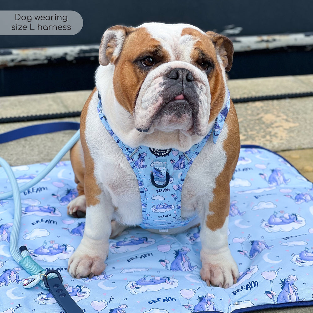 Disney© Tough Trails™ Harness - Eeyore