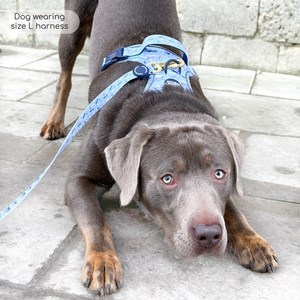 Disney© Tough Trails™ Harness - Eeyore