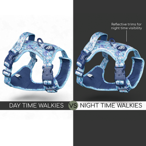 Disney© Tough Trails™ Harness - Eeyore