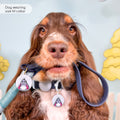 Disney© Waterproof Collar - Eeyore