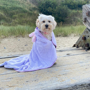 Disney© Hooded Microfibre Towel - Bambi + Friends Lilac