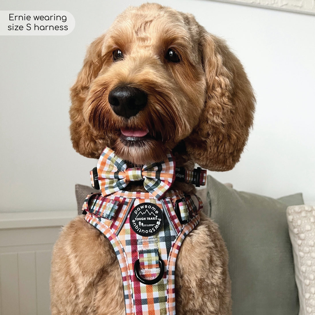 Bow Tie - Plaid Pup