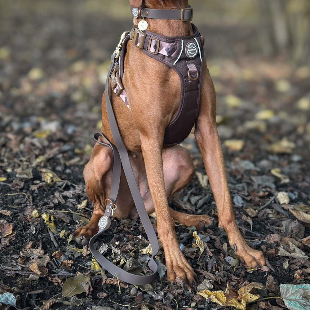 4ft Waterproof Lead - Walkies Ready® Chocolate Brown