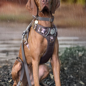 Waterproof Collar - Walkies Ready® Chocolate Brown